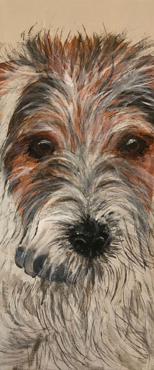 Little Scruffy by Amanda Lakin Art