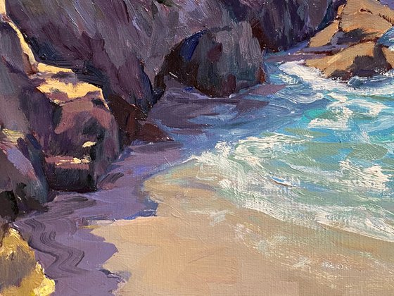 Point Lobos' Hidden Cove