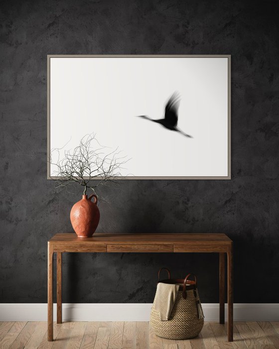 Crane(s) I