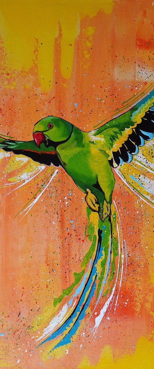 Parrot by Livien Rózen