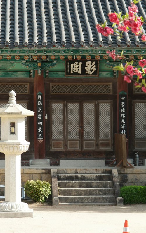Blossoms Keeping Watch at the Portrait Hall by sangwon jeon