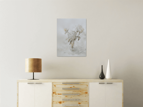 Peonies 50x65 cm 2025