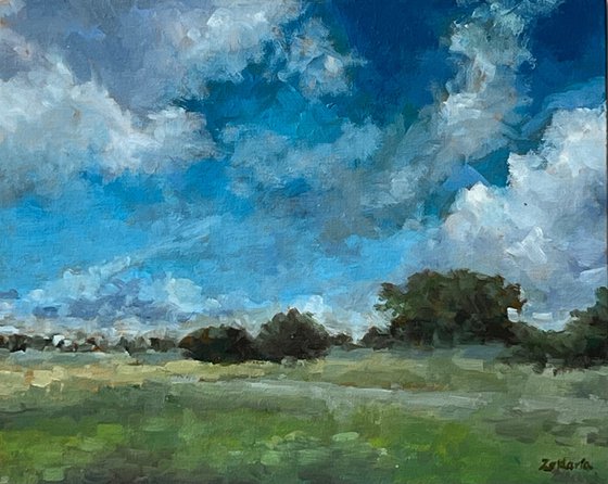 Big Summer Sky