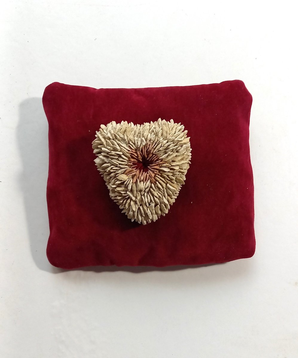 Small heart in red by Emanuela Camacci