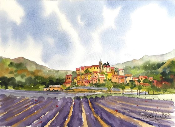 Lavender field in Drôme Le Provençal
