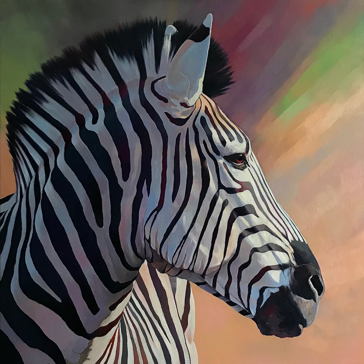 Dreamy zebra by Andrii Roshkaniuk
