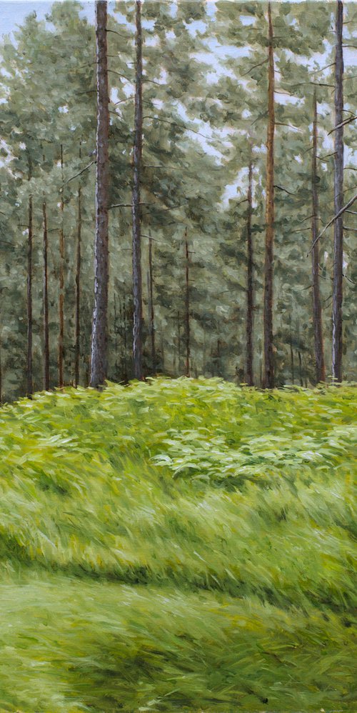 Summer in the Pine Forest by Dejan Trajkovic