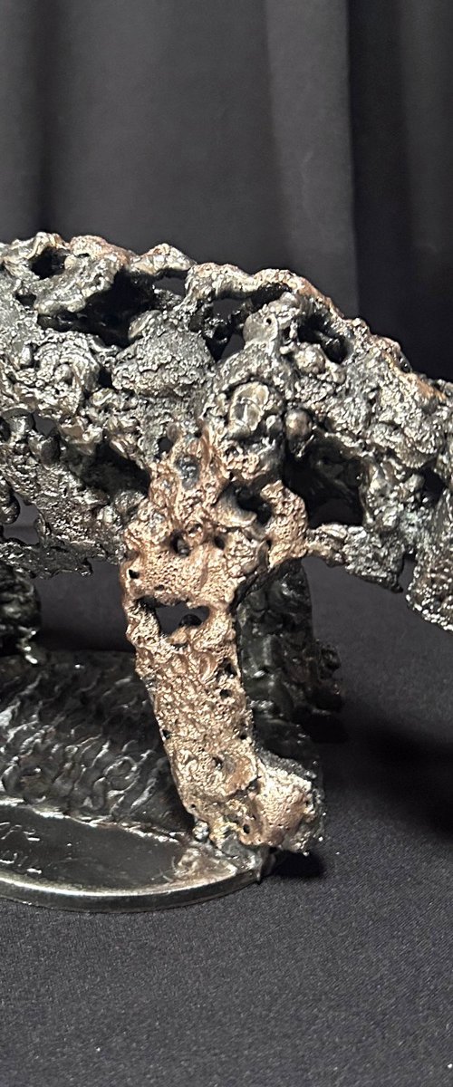 Bear of vigil by Philippe Buil