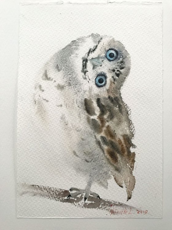 Little owl on a branch II - 19 x 28 cm