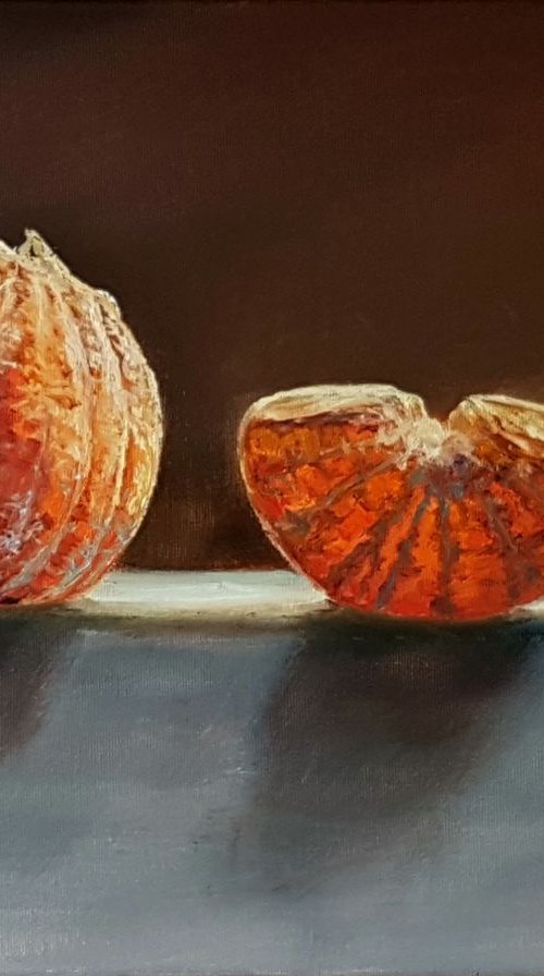 Taste the Color by Diana Janson