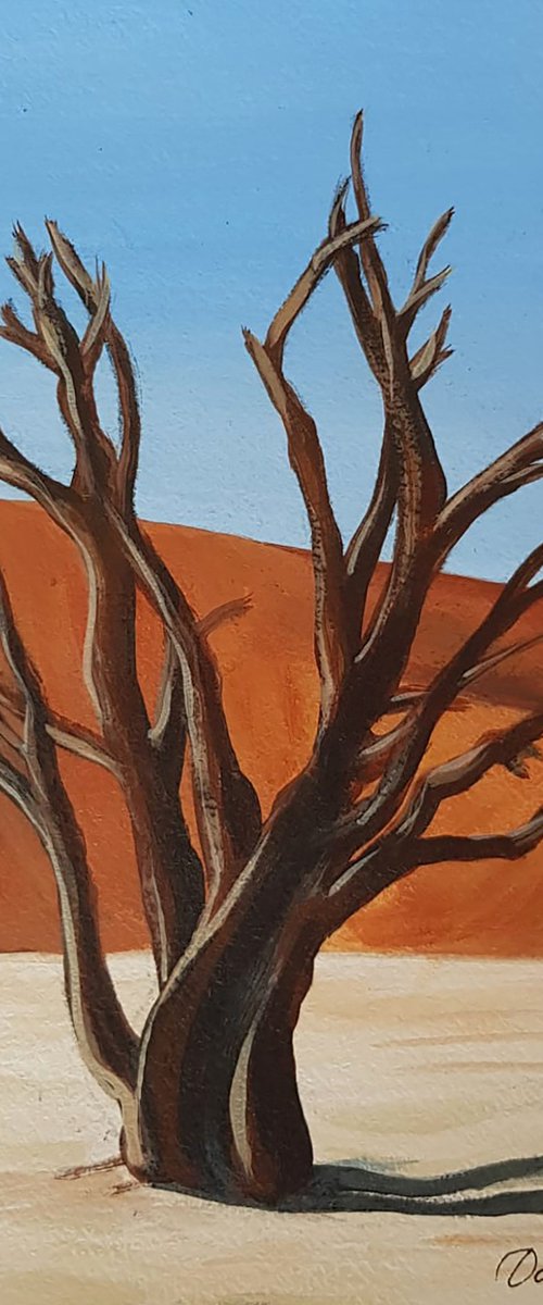 Desert Acacia by Daria Startseva