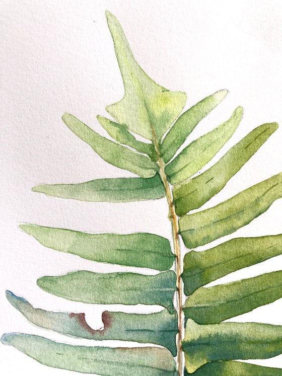 The Fern. Original watercolor artwork.