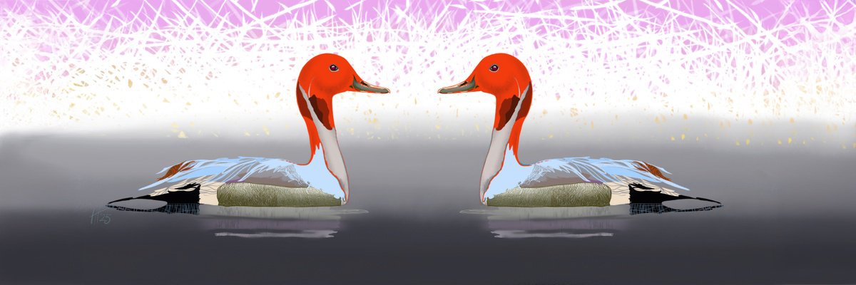 Illustrative Animal Print By Hilde Hoekstra, 47 X 16, Red Head Water Birds, In Pink, Original Artwork