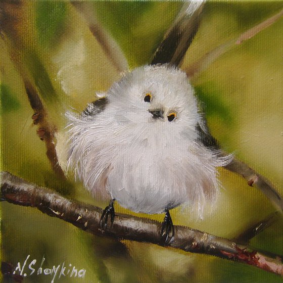 Fluffy Bird on a Spring Branch