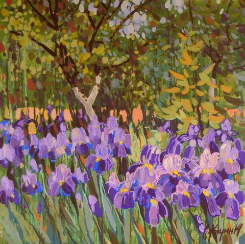 Irises by Sergey  Kachin