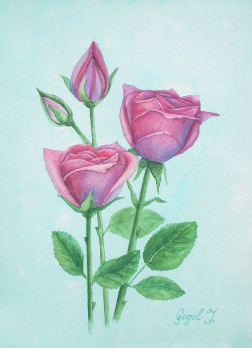 Pink roses by Julia Gogol