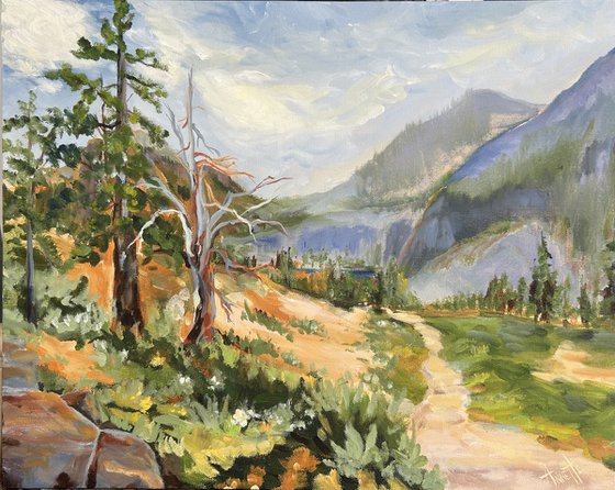 Sierra Mountain Trail