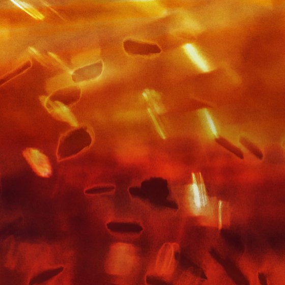 Shop Night (Red Yellow Magenta) Soho London