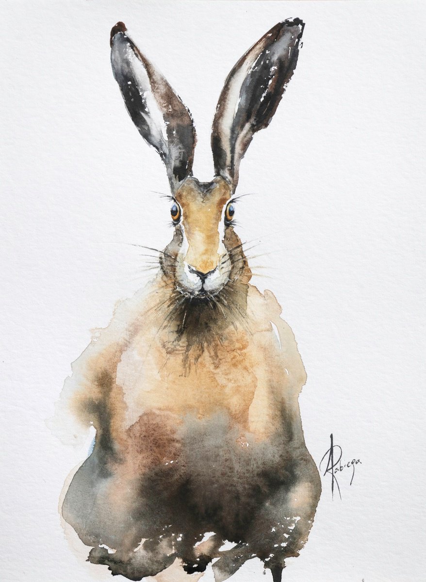 Animal Watercolour By Andrzej Rabiega, 12 X 16, Hare Ii, Original Artwork