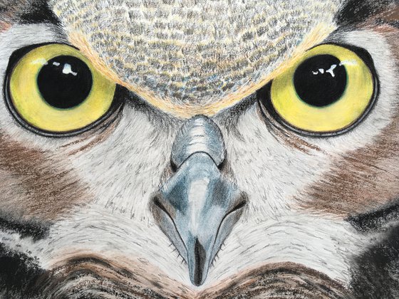 Large Owl Drawing (85x59cm)
