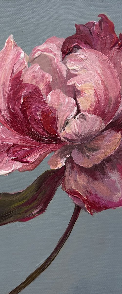 Pink miracle. Peony. by Larisa Batenkova