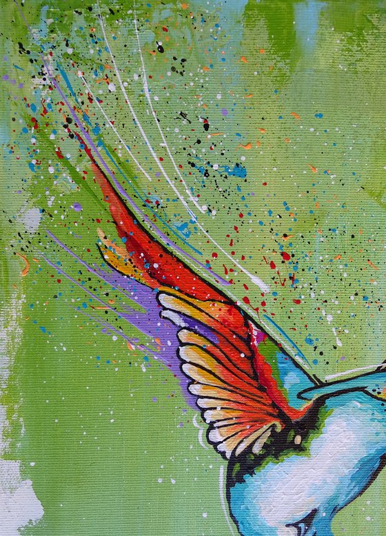 Hummingbird - 1