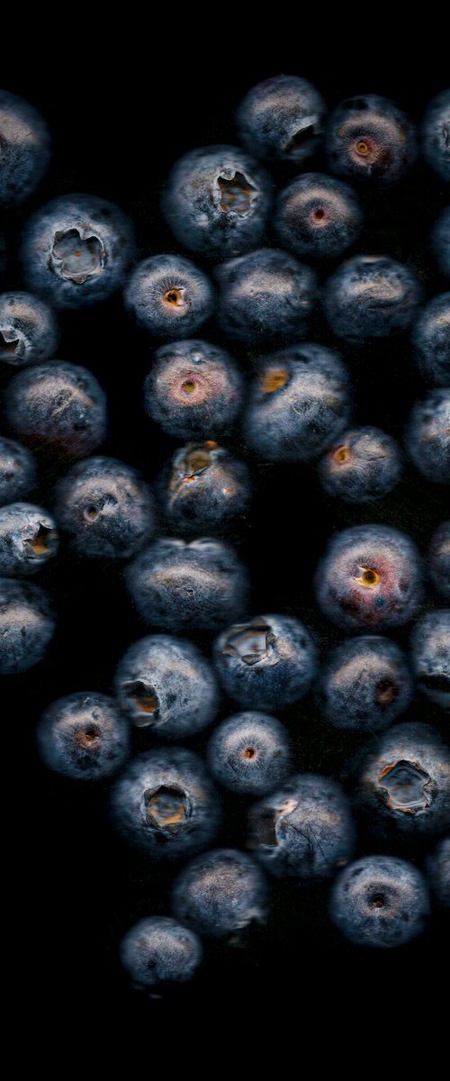 Blueberry Scanner Art by Paul Nash