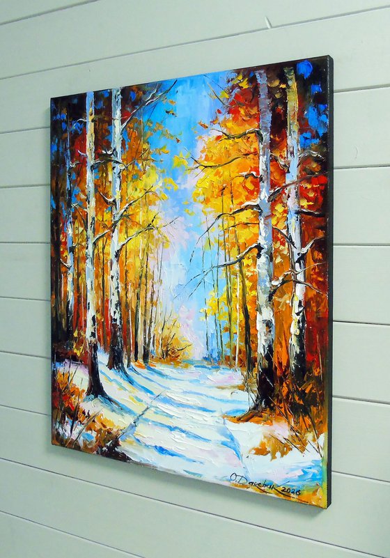 Birch Forest. First Snow