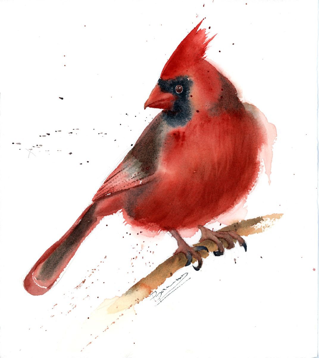 Red Cardinal Original Watercolor by Olga Shefranov (Tchefranova)