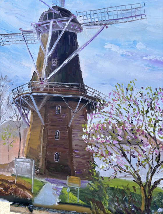 Magnolia and Historic Windmill