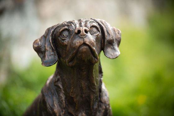 Sitting Puggle FB