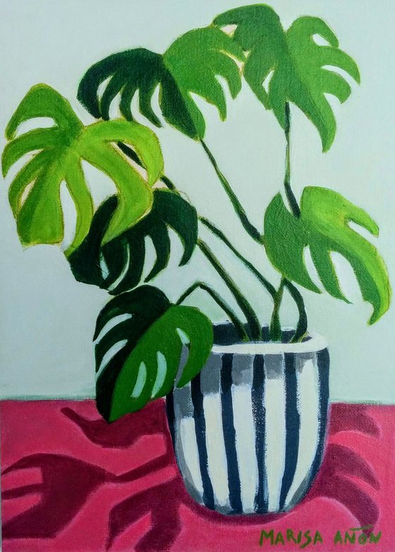 Monstera on Pink