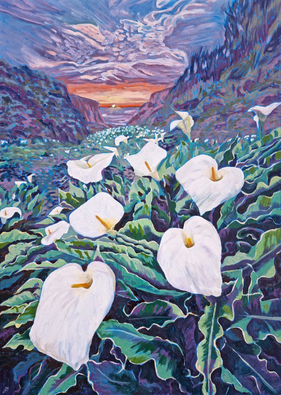 Calla Lily Valley