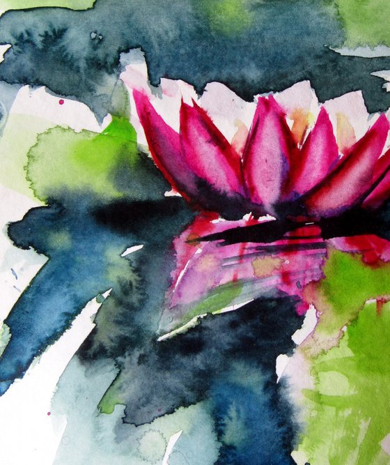 Water lilies collection II