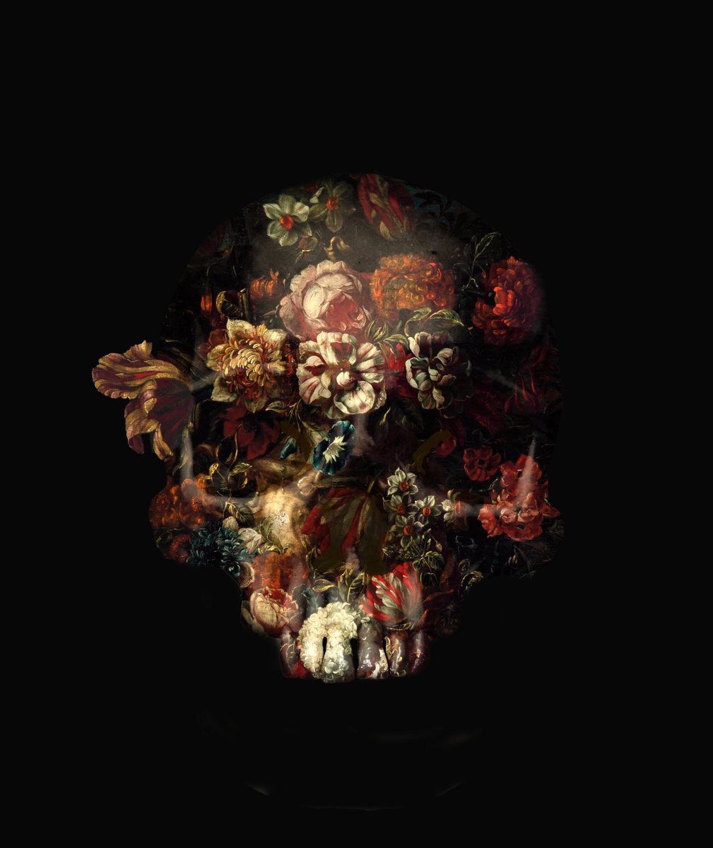 Skull III by Slasky