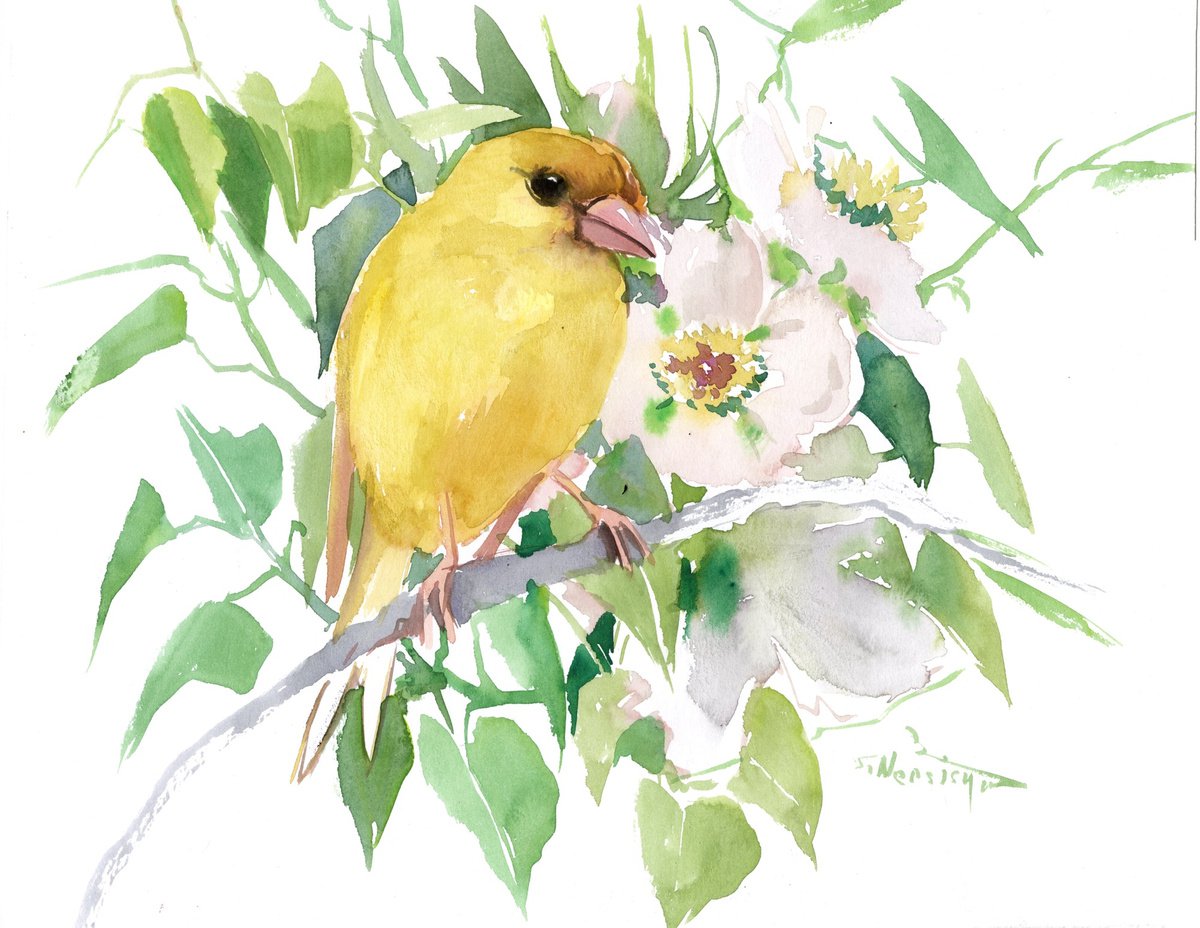 Canary Bird and Flowers, Watercolor Bird painting by Suren Nersisyan
