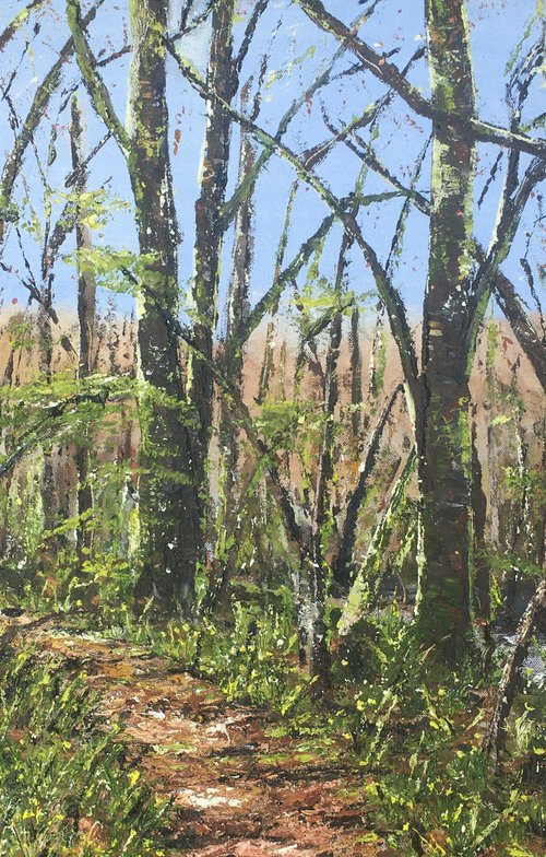 Early Spring, Dunsford Woods by Lucy Smerdon