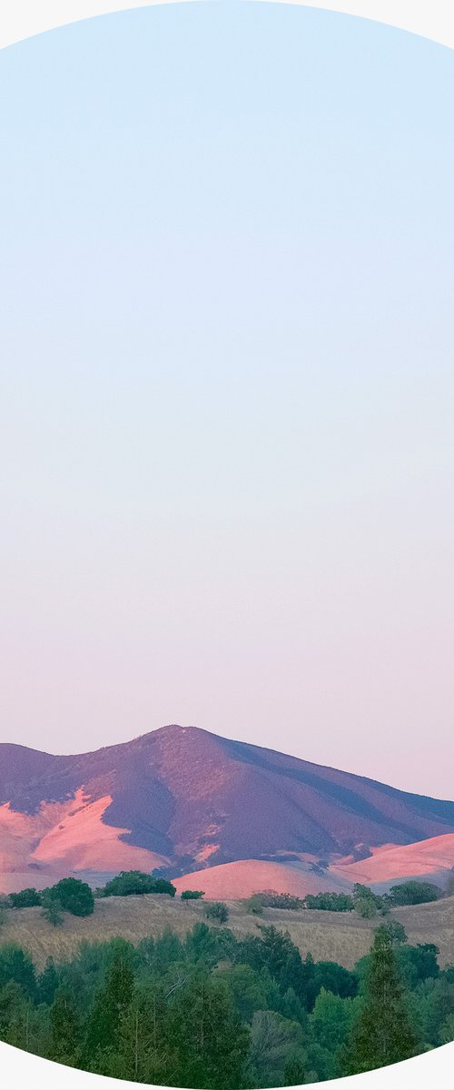 The Sun Also Rises° by Journey Gong