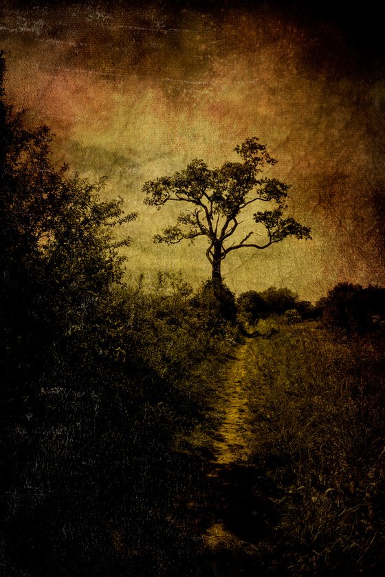 The Footpath
