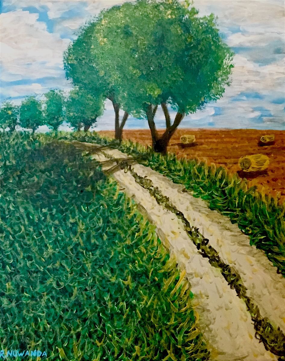 Rural Spanish Path by Robbie Potter