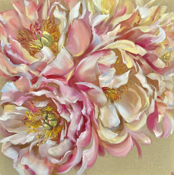 Sunny peonies