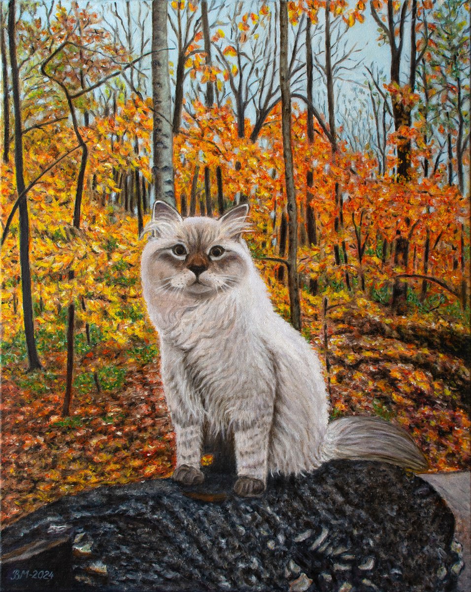 Impressionistic Animal Oil Painting By Vera Melnyk, 16 X 20", Autumn Cat, Original Artwork