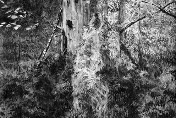 Dead tree