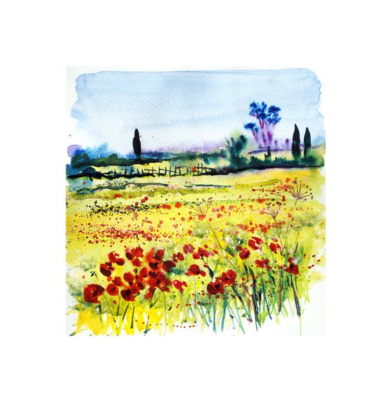 Poppy Fields