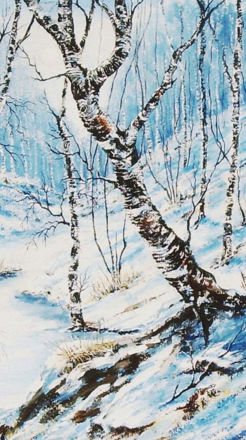 Winter Sun over Birch Wood 2 by Max Aitken