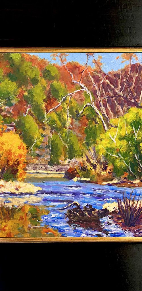 Afternoon on the Jacks Fork by Daniel Fishback