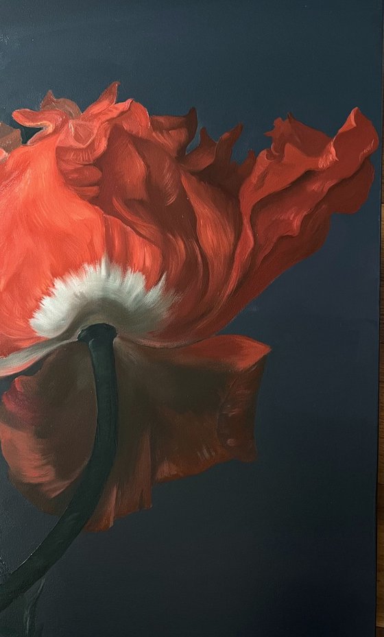 "Old Holland Flower 10"
