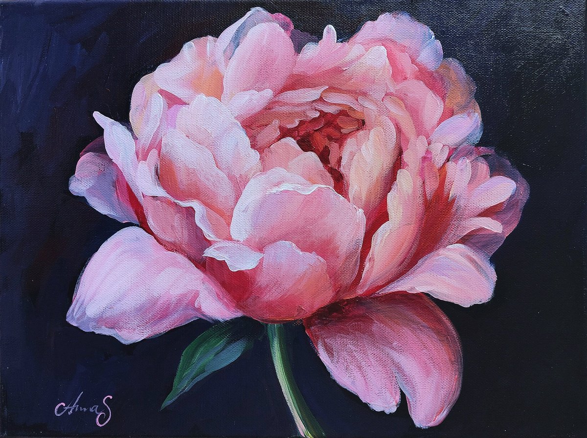 Expressive Botanical Acrylic Painting By Anna Silabrama, 16 X 12, Radiant Peony, Original Artwork