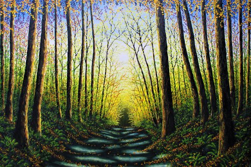 Patterns Of Forest Light by Hazel Thomson