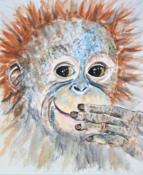 Orangutan Monkey